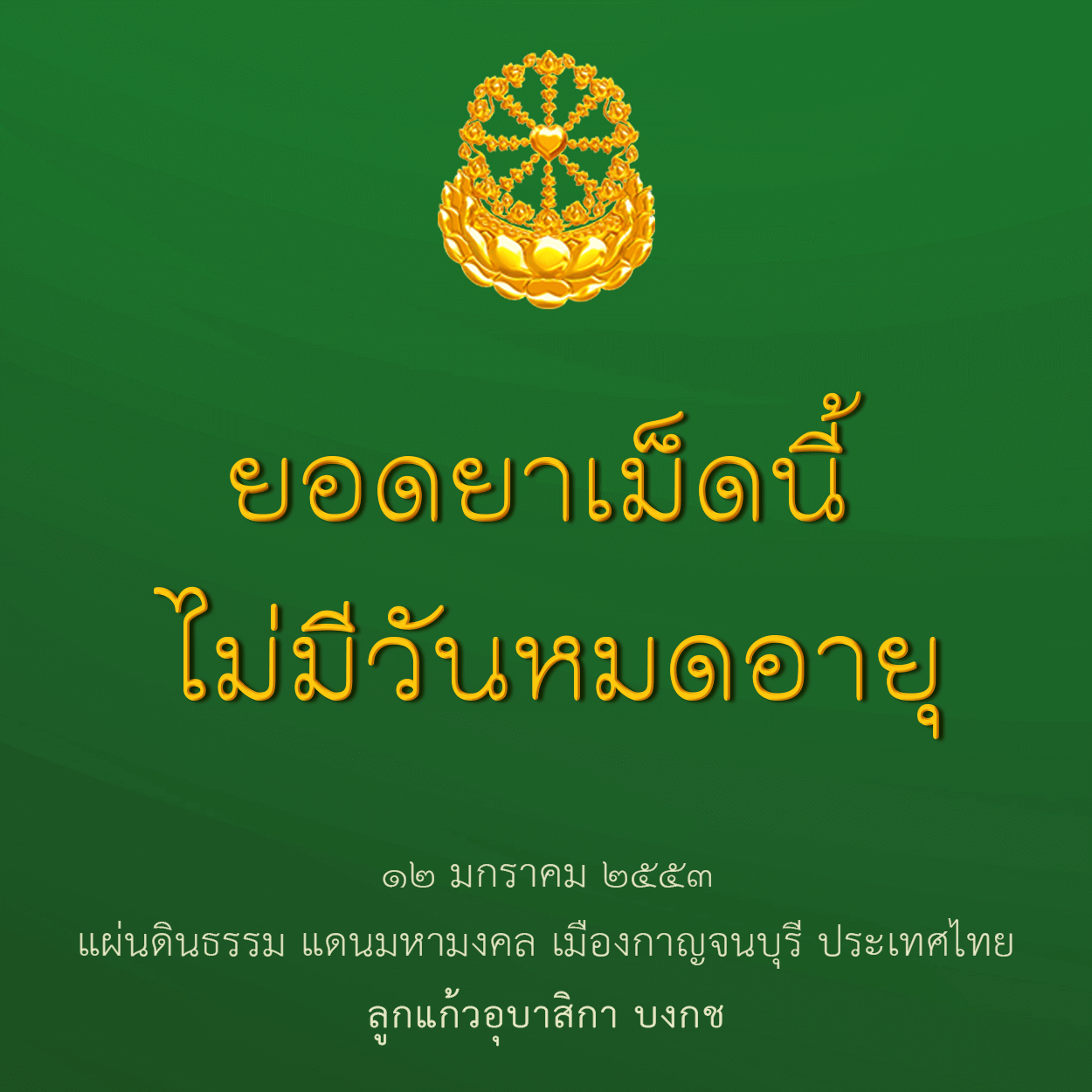 ยอดยาเม็ดนี้ไม่มีวันหมดอายุ